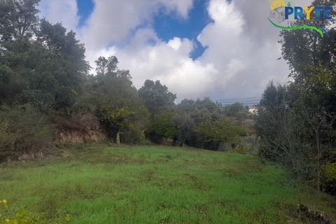 Helårsgrund i Proenca-a-Nova, Castelo Branco, Proenca-a-Nova - € 75.000 | Ref: SO12 - foto 4