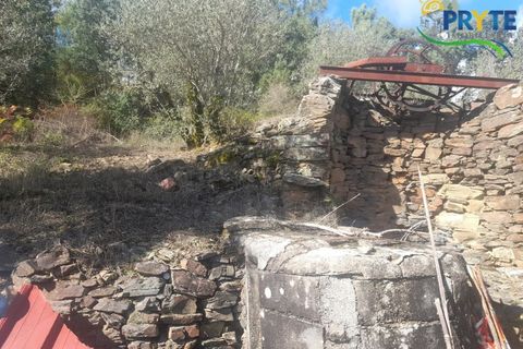 Helårsgrund i Proenca-a-Nova, Castelo Branco, Proenca-a-Nova - € 75.000 | Ref: SO12 - foto 5