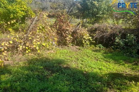 Helårsgrund i Proenca-a-Nova, Castelo Branco, Proenca-a-Nova - € 75.000 | Ref: SO12 - foto 6