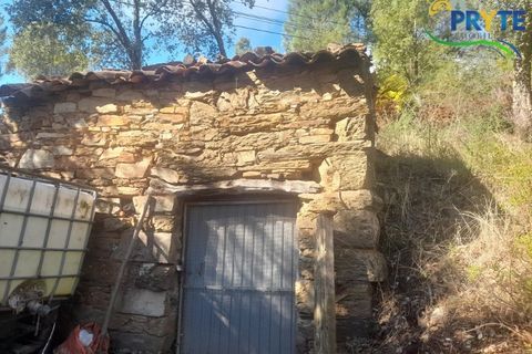 Helårsgrund i Proenca-a-Nova, Castelo Branco, Proenca-a-Nova - € 75.000 | Ref: SO12 - foto 7