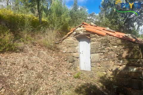 Helårsgrund i Proenca-a-Nova, Castelo Branco, Proenca-a-Nova - € 75.000 | Ref: SO12 - foto 8