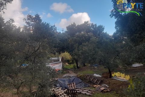 Helårsgrund i Proenca-a-Nova, Castelo Branco, Proenca-a-Nova - € 75.000 | Ref: SO12 - foto 10