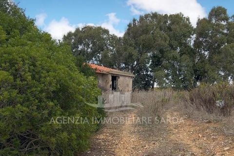 Villa a Alghero, Sassari, Alghero - € 250.000 | Ref: ALGHE70 - foto 2