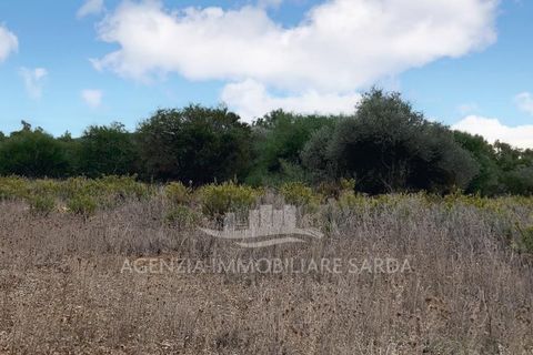 Villa a Alghero, Sassari, Alghero - € 250.000 | Ref: ALGHE70 - foto 4