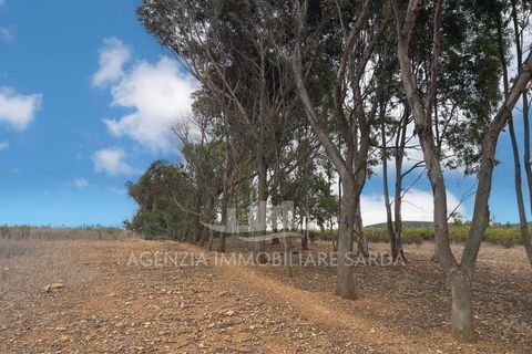 Villa a Alghero, Sassari, Alghero - € 250.000 | Ref: ALGHE70 - foto 6