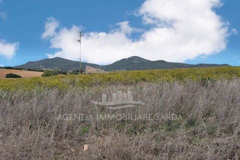 Villa a Alghero, Sassari, Alghero - € 250.000 | Ref: ALGHE70 - foto 7