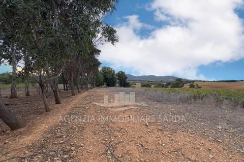 Villa a Alghero, Sassari, Alghero - € 250.000 | Ref: ALGHE70 - foto 8