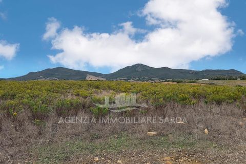 Villa a Alghero, Sassari, Alghero - € 250.000 | Ref: ALGHE70 - foto 9