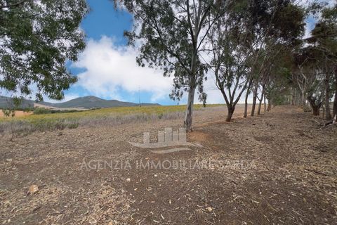 Villa a Alghero, Sassari, Alghero - € 250.000 | Ref: ALGHE70 - foto 10