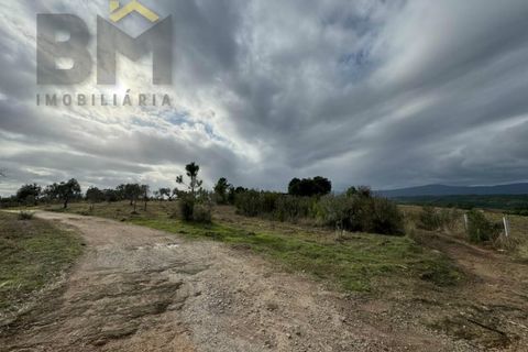 Terra a Ninho do Acor, Castelo Branco, Ninho do Acor - € 16.500 | Ref: 4963 - foto 7
