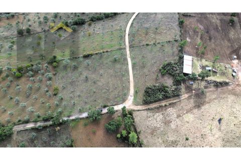 Terra a Ninho do Acor, Castelo Branco, Ninho do Acor - € 16.500 | Ref: 4963 - foto 8