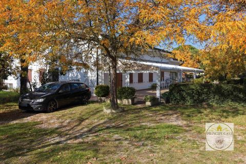 Erhvervsejendom i Cinto Euganeo, Padua, Cinto Euganeo - € 320.000 | Ref: ATT3 - foto 2