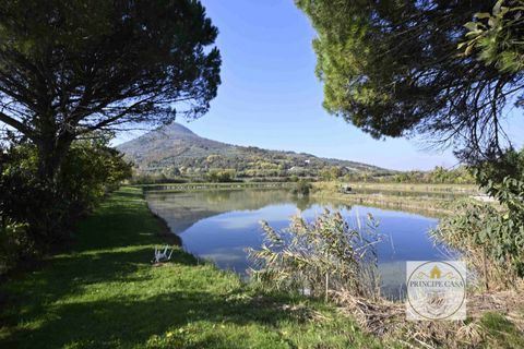 Erhvervsejendom i Cinto Euganeo, Padua, Cinto Euganeo - € 320.000 | Ref: ATT3 - foto 4