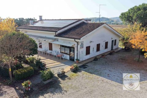 Erhvervsejendom i Cinto Euganeo, Padua, Cinto Euganeo - € 320.000 | Ref: ATT3 - foto 5