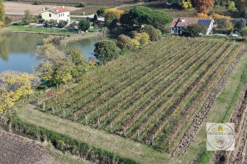 Erhvervsejendom i Cinto Euganeo, Padua, Cinto Euganeo - € 320.000 | Ref: ATT3 - foto 7