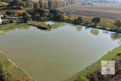 Erhvervsejendom i Cinto Euganeo, Padua, Cinto Euganeo - € 320.000 | Ref: ATT3 - foto 8