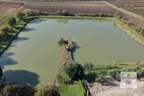 Erhvervsejendom i Cinto Euganeo, Padua, Cinto Euganeo - € 320.000 | Ref: ATT3 - foto 9