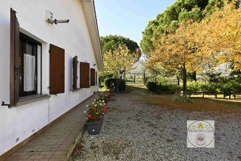 Erhvervsejendom i Cinto Euganeo, Padua, Cinto Euganeo - € 320.000 | Ref: ATT3 - foto 22