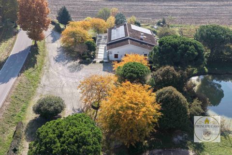 Erhvervsejendom i Cinto Euganeo, Padua, Cinto Euganeo - € 320.000 | Ref: ATT3 - foto 23
