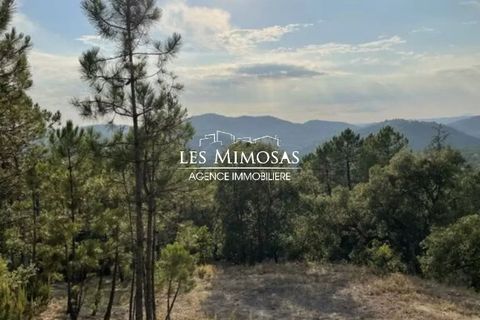 Helårsgrund i Le Muy, Var, Le Muy - € 490.000 | Ref: 7229 - foto 1