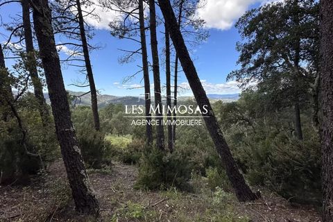 Helårsgrund i Le Muy, Var, Le Muy - € 490.000 | Ref: 7229 - foto 2