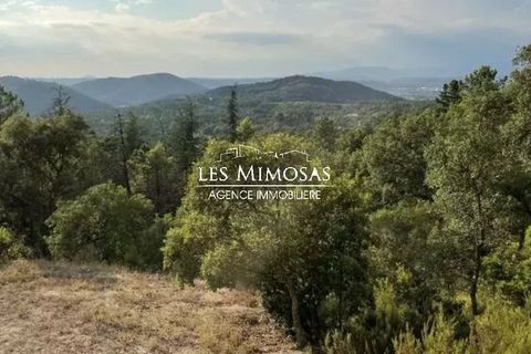 Helårsgrund i Le Muy, Var, Le Muy - € 490.000 | Ref: 7229 - foto 7
