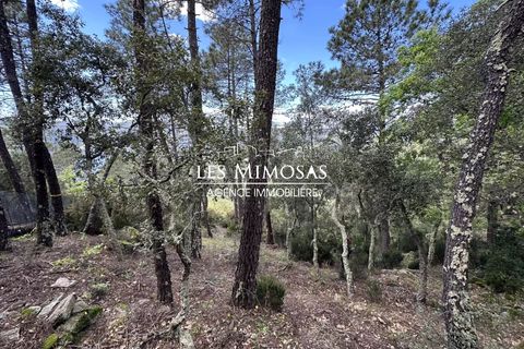 Helårsgrund i Le Muy, Var, Le Muy - € 490.000 | Ref: 7229 - foto 12