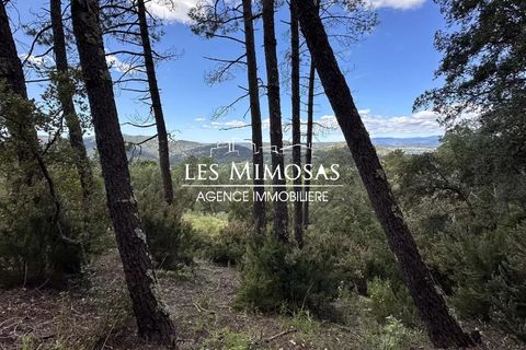Helårsgrund i Le Muy, Var, Le Muy - € 490.000 | Ref: 7229 - foto 13