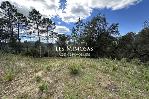 Helårsgrund i Le Muy, Var, Le Muy - € 490.000 | Ref: 7229 - foto 15