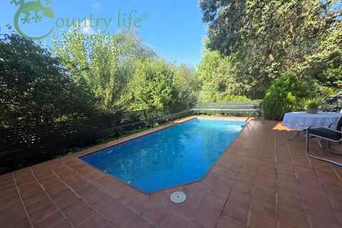 Landejendom i Colmenar, Malaga, Colmenar - € 795.000 | Ref: COL001 - foto 41