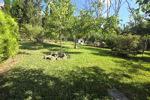 Landejendom i Colmenar, Malaga, Colmenar - € 795.000 | Ref: COL001 - foto 48