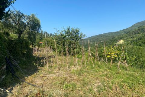 Leilighet i Stellanello, Savona, Stellanello - € 130 000 | Ref: 007 - foto 13