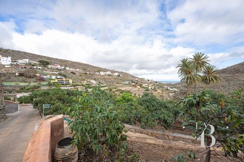 Landejendom i Telde, Gran Canaria, Telde - € 5.450.000 | Ref: RUS0008 - foto 15