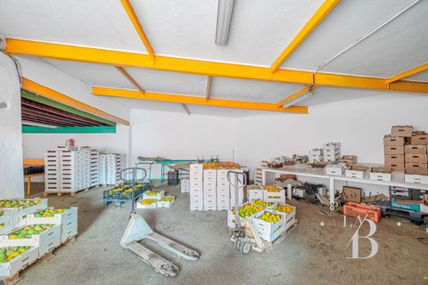 Landejendom i Telde, Gran Canaria, Telde - € 5.450.000 | Ref: RUS0008 - foto 36