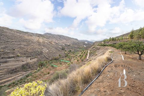Landejendom i Telde, Gran Canaria, Telde - € 5.450.000 | Ref: RUS0008 - foto 45