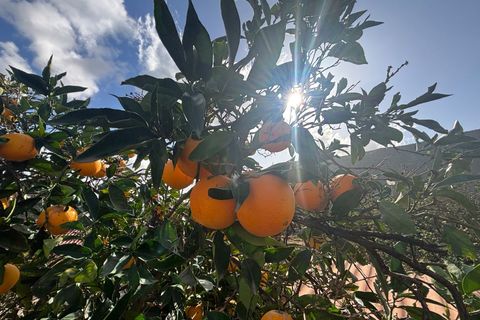 Landejendom i Telde, Gran Canaria, Telde - € 5.450.000 | Ref: RUS0008 - foto 18