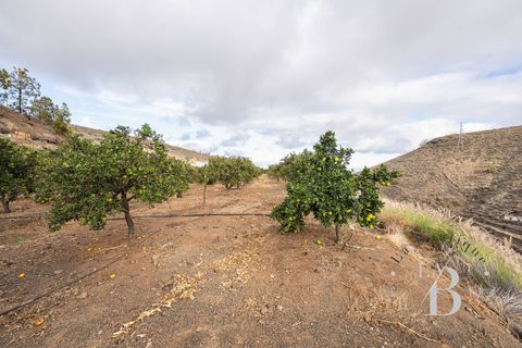 Landejendom i Telde, Gran Canaria, Telde - € 5.450.000 | Ref: RUS0008 - foto 47