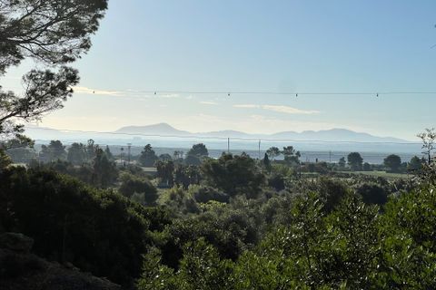 Helårsgrund i Alcudia, Mallorca, Alcudia - € 750.000 | Ref: 2265 - foto 3