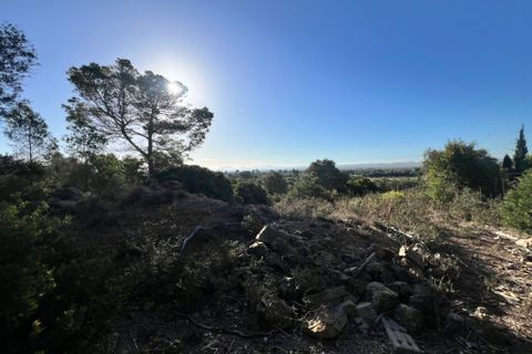 Helårsgrund i Alcudia, Mallorca, Alcudia - € 750.000 | Ref: 2265 - foto 4