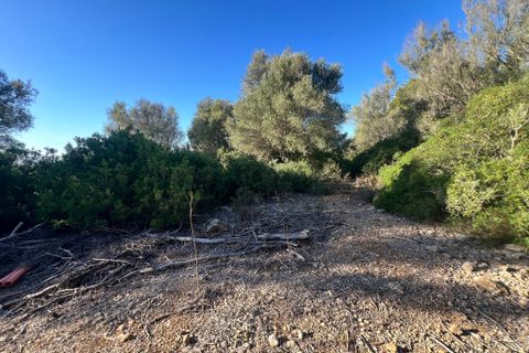 Helårsgrund i Alcudia, Mallorca, Alcudia - € 750.000 | Ref: 2265 - foto 5