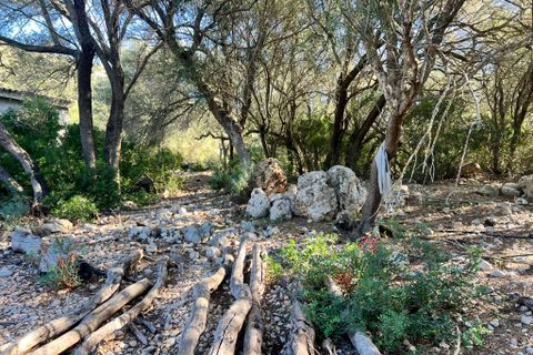 Helårsgrund i Alcudia, Mallorca, Alcudia - € 750.000 | Ref: 2265 - foto 6