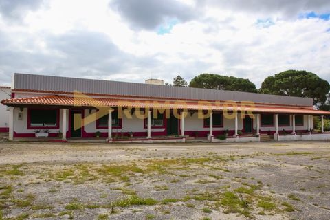 Næringseiendom i Azambuja, Lisbon, Azambuja - € 349 500 | Ref: 63747 - foto 44