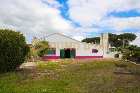 Næringseiendom i Azambuja, Lisbon, Azambuja - € 349 500 | Ref: 63747 - foto 45
