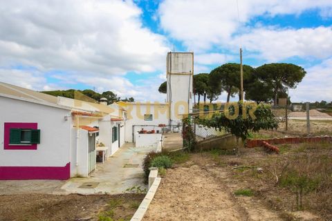 Næringseiendom i Azambuja, Lisbon, Azambuja - € 349 500 | Ref: 63747 - foto 47