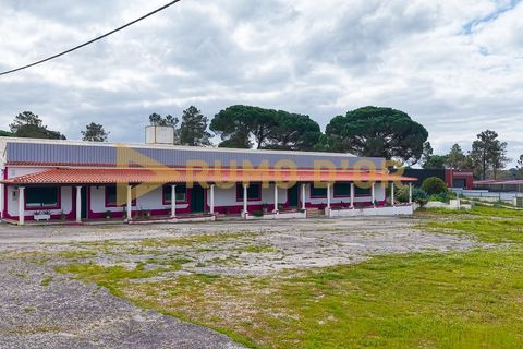 Næringseiendom i Azambuja, Lisbon, Azambuja - € 349 500 | Ref: 63747 - foto 48