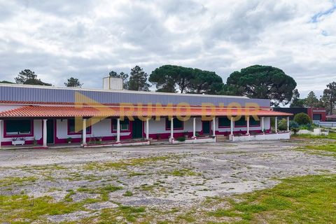 Næringseiendom i Azambuja, Lisbon, Azambuja - € 349 500 | Ref: 63747 - foto 49