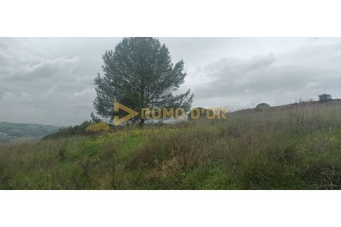 Helårsgrund i Alenquer, Lisbon, Alenquer - € 160.000 | Ref: 63884 - foto 6