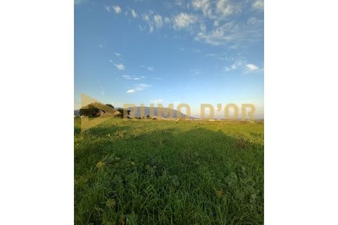 Helårsgrund i Alenquer, Lisbon, Alenquer - € 55.000 | Ref: 59322 - foto 2