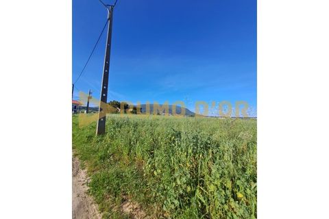 Helårsgrund i Alenquer, Lisbon, Alenquer - € 55.000 | Ref: 59322 - foto 3