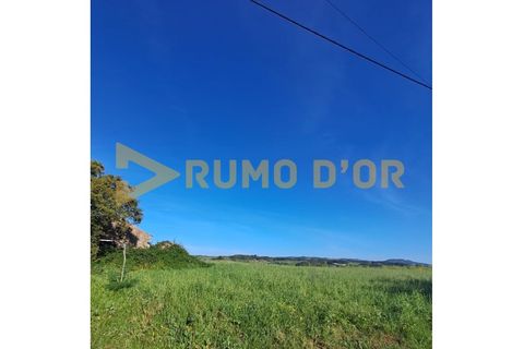 Helårsgrund i Alenquer, Lisbon, Alenquer - € 55.000 | Ref: 59322 - foto 5